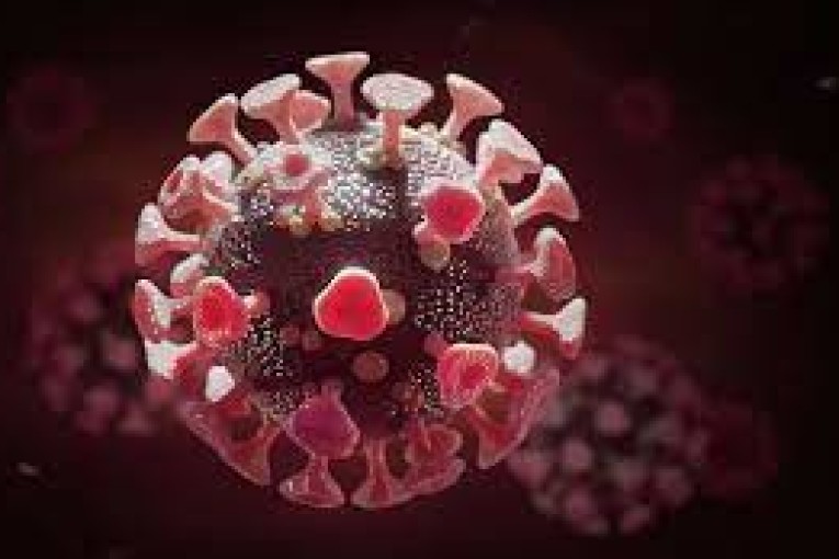 ظهور سلالة جديدة ذات تركيبة مزدوجة من كورونا : اللجنة العلمية تحذّر