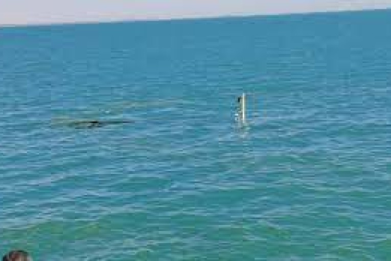 وزارة النقل: زوال خطر التلوث البحري بخليج قابس