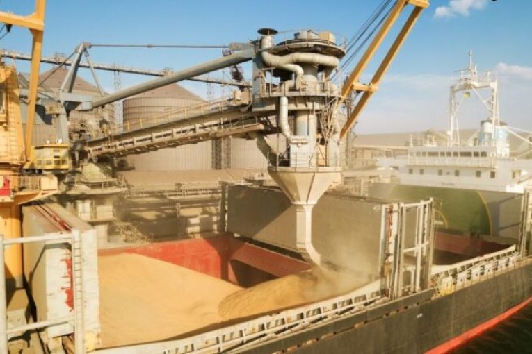 صادرات الحبوب الأوكرانية تتوقف بسبب صعوبات في النقل