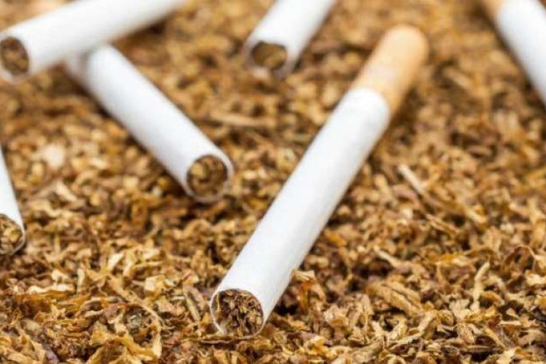 نحو رفع الإنتاج الوطني من التبغ إلى 3 آلاف طنّ سنويّا