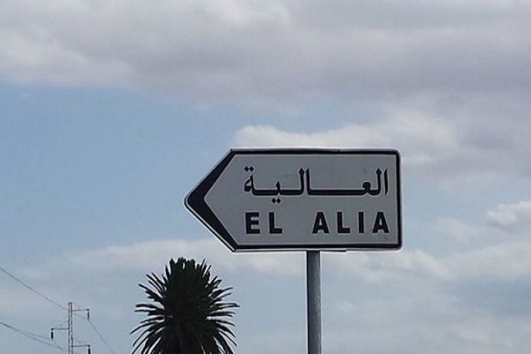 بنزرت: إعفاء معتمد العالية بعد 15 يوما من تنصيبه