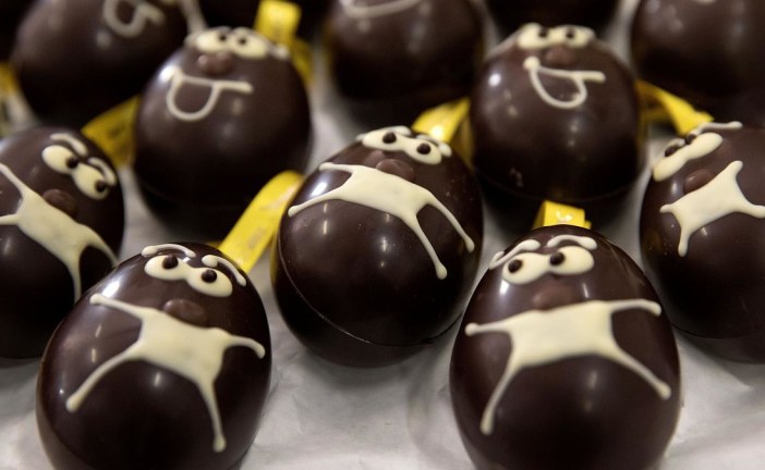 الاتحاد الأوروبي: 266 إصابة مؤكّدة بالسّالمونيلا بسبب بيض الشوكولاتة