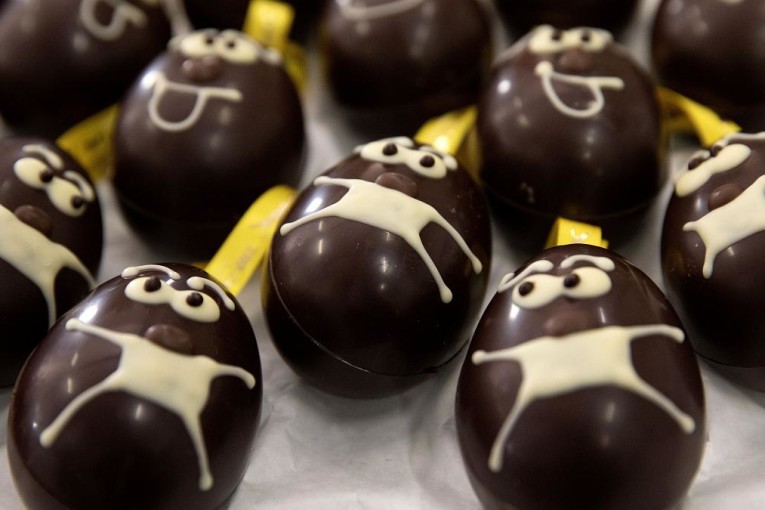 الاتحاد الأوروبي: 266 إصابة مؤكّدة بالسّالمونيلا بسبب بيض الشوكولاتة