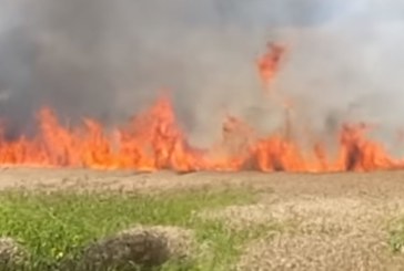 بنزرت: حريق بمركب فلاحي يأتي على 3199 وحدة علفية