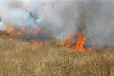 جندوبة: السيطرة على حريق بإحدى مزارع الحبوب