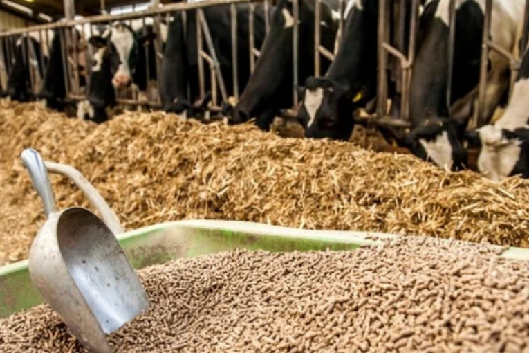 ارتفاع سعر ‘الصوجا': منظمة ارشاد المستهلك تدعو سعيّد إلى التدخّل