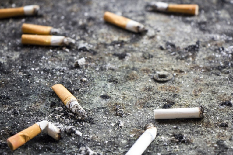 مدينة العلوم: أكثر من 20% من الوفيات بسبب التدخين