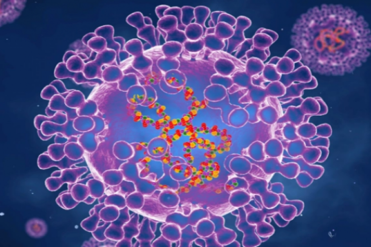 مختص في علم الفيروسات يؤكــد خلو تونس من فيروس ’’جدري القرد’’