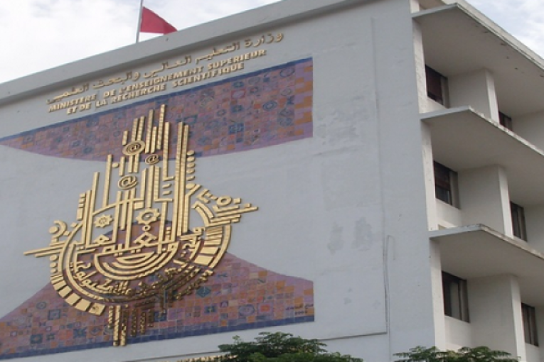 وزارة التعليم العالي تطلق موقع واب خاص بالدليل التونسي لعروض التكوين الجامعي لفائدة جميع المتدخلين