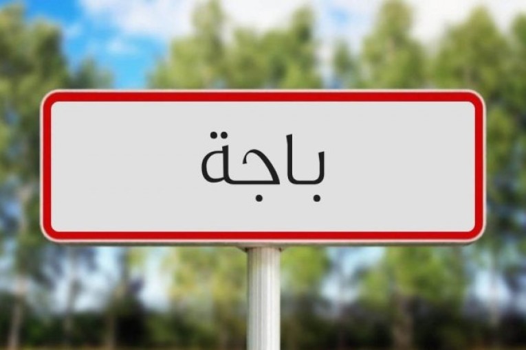 مهرجان النيروز بباجة تحت شعار” الطريق الى العالمية يمر عبر بيتي”