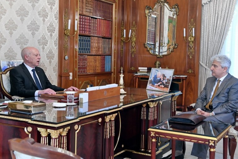 رئيس الجمهورية يلتقي وزير الدفاع