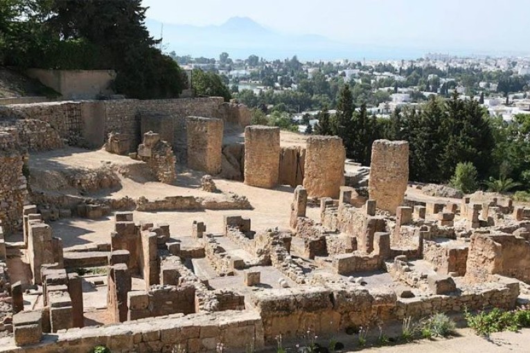 إنجاز مشروع حماية موقع قرطاج الأثري في غضون 6 أشهر