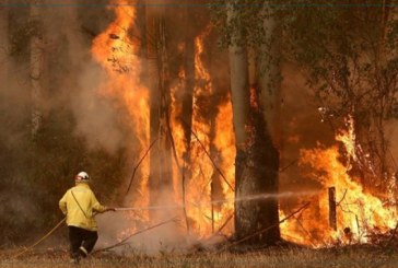 سليانة: السيطرة على 3 حرائق بأماكن مختلفة