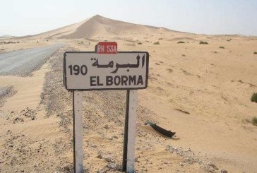 تطاوين: إضراب حضوري لعمال الإعاشة من 10 إلى 12 جوان في حقل ‘سيتاب البرمة’