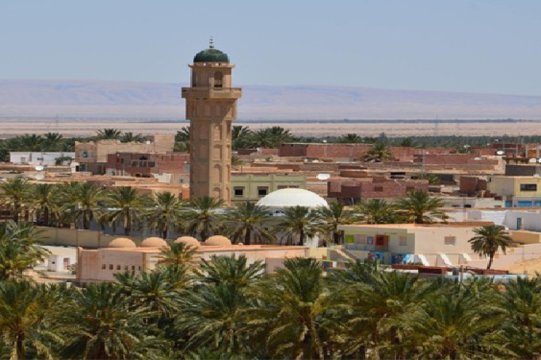 توزر: عدد من سكان ‘حامّة الجريد’ يطالبون بتراخيص لإستغلال فضاء سياحي