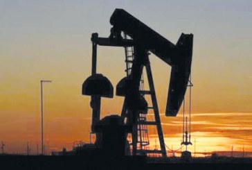 وزيرة الصناعة: تراجع عدد آبار النفط من 38 الى 7 آبار خلال العشر سنوات الأخيرة