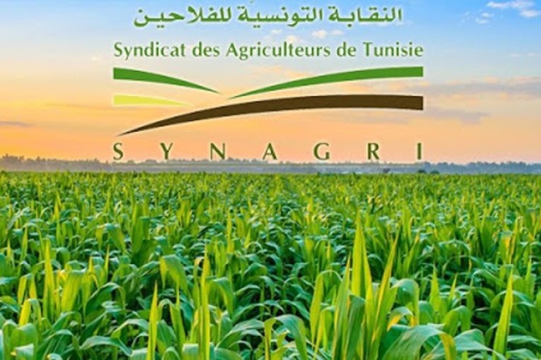 نقابة الفلاحين: تراجع دخل الفلاحين وتهميش الفلاحة ينذر بإفلاس أكثر من منظومة ويهدد قوت الشعب والسيادة الغذائية