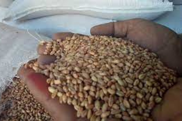 الغرفة الوطنية لمصنعي الأعلاف: هذه أسباب الزيادة في الأسعار..