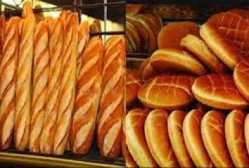 توزر: إضراب جهوي بخمسة أيّام في المخابز