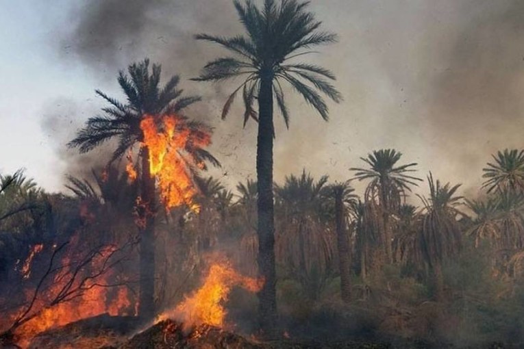 قابس : خسائر مادية كبيرة في حريق واحة الدبدابة بالحامة