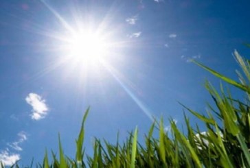 تواصل الأجواء الصيفية