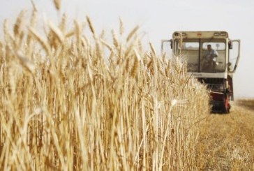 بوسالم: انزلاق آلة حصاد بسبب رداءة المسلك الفلاحي