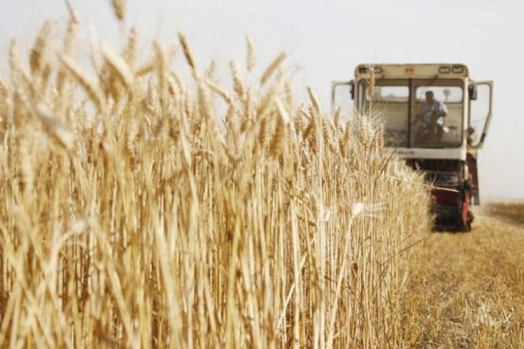 بوسالم: انزلاق آلة حصاد بسبب رداءة المسلك الفلاحي