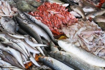 الميزان التجاري لمنتوجات الصيد البحري يحقق فائضا بقيمة 6ر103 مليون دينار