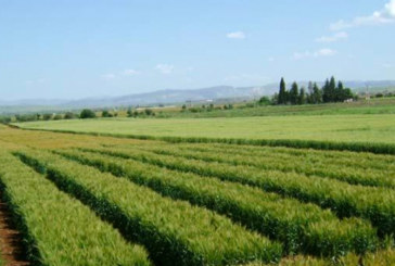 وزير أملاك الدولة يدعو الى التسريع في إعادة توظيف الأراضي الدولية الواقع استردادها