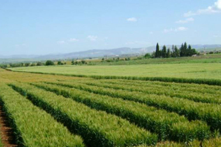 وزير أملاك الدولة يدعو الى التسريع في إعادة توظيف الأراضي الدولية الواقع استردادها