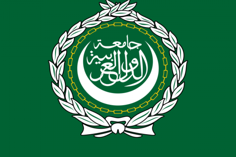 الجامعة العربية: الدول العربية قد تساهم في إنهاء الأزمة الأوكرانية