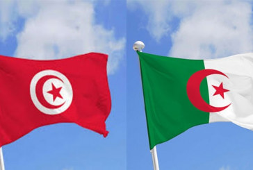 وزارة الصناعة: ”نحو إنشاء صندوق استثمار مُشترك بين تونس والجزائر لتمويل مشاريع بالمناطق الحدودية”