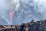 الجزائر: حرائق بغابات سطيف تخلف قتلى ومصابين