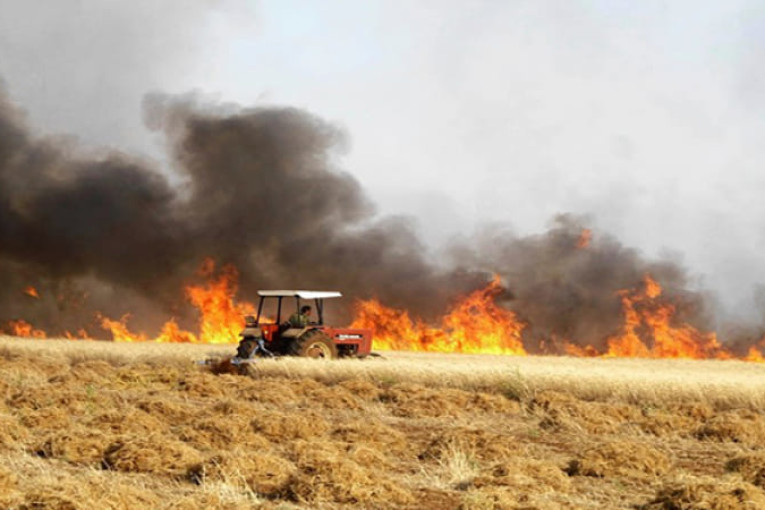 نابل: إخماد حريقين بضيعتين فلاحيتين