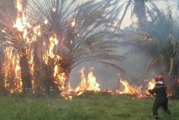 الكريب: السيطرة على حريق في منطقة الهمايل شبّ بأرض زراعية