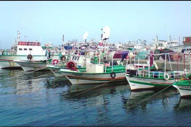 المنستير: البحارة يطالبون بحلّ جذري لمشكل تكرّر فيضان بالوعات مياه الصرف الصحي بالميناء