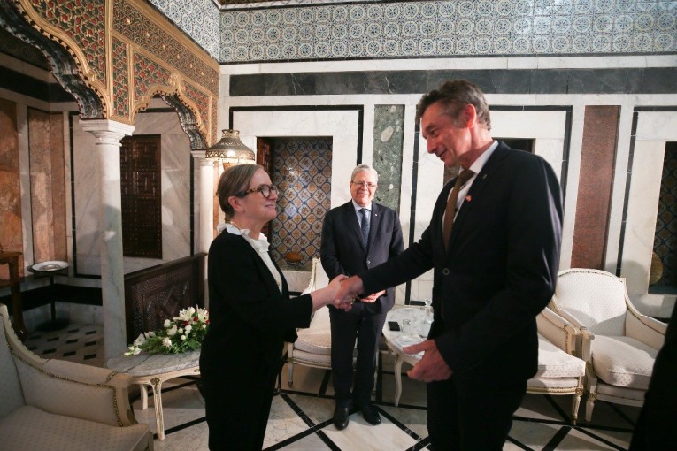 تعزيز التعاون في لقاء بودن ووفد عن لجنة التنمية في البرلمان الألماني