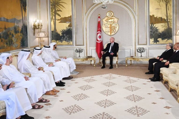 رئيس الجمهورية يستقبل شخبوط بن نهيان آل نهيان