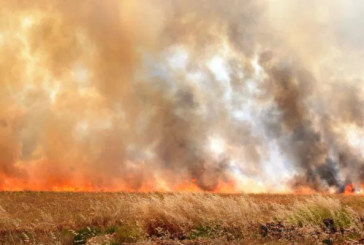 سليانة: السيطرة على حريق إندلع بأرض زراعية