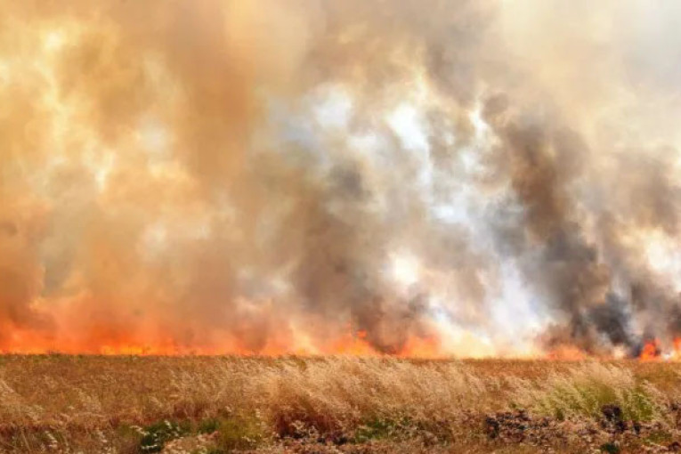 سليانة: السيطرة على حريق إندلع بأرض زراعية