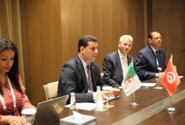 تونس والجزائر تخطّطان لرفع عدد رحلات الشارتر وإرساء خط بحري