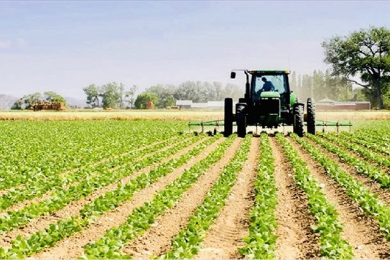 شهر ماي الفارط: تطوّر قيمة الاستثمارات الفلاحية المصادق عليها بـ40 %