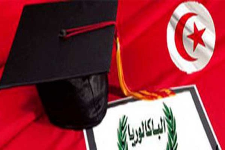 وزارة الأسرة: ’47 تلميذا من مكفولي الدولة في مختلف الولايات إجتازوا البكالوريا بنجاح’