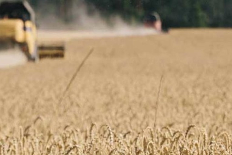 سليانة: رئيسة الحكومة ووزير الفلاحة يعطيان إشارة إنطلاق موسم الحصاد