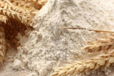 قبلي: تزويد الولاية ب88 طنا من مادة الفرينة الرفيعة و42 طنا من مادة السميد