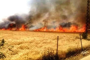 سليانة: السيطرة على حريق اندلع في أرض زراعية بمنطقة الوحيشات بمكثر
