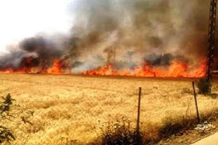 سليانة: السيطرة على حريق اندلع في أرض زراعية بمنطقة الوحيشات بمكثر