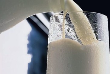 ممثلو منظومة الألبان يجدّدون دعوتهم لإقرار زيادة لسعر الحليب