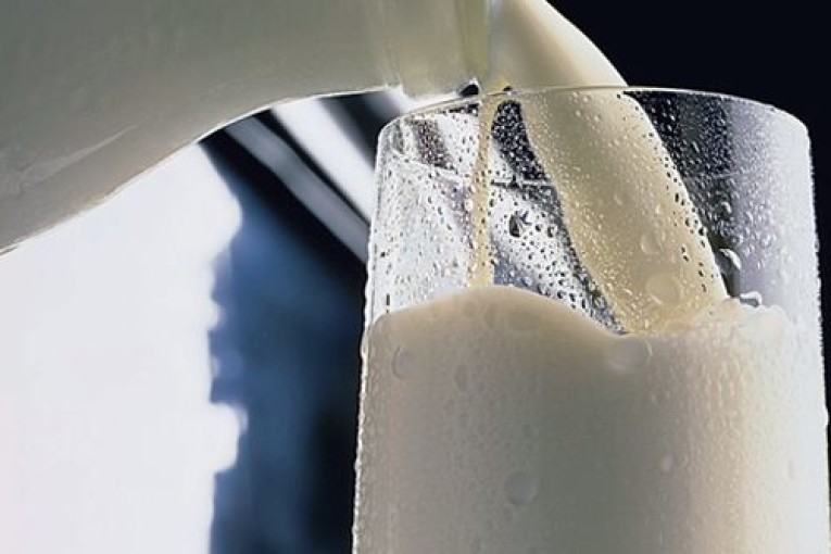 ممثلو منظومة الألبان يجدّدون دعوتهم لإقرار زيادة لسعر الحليب