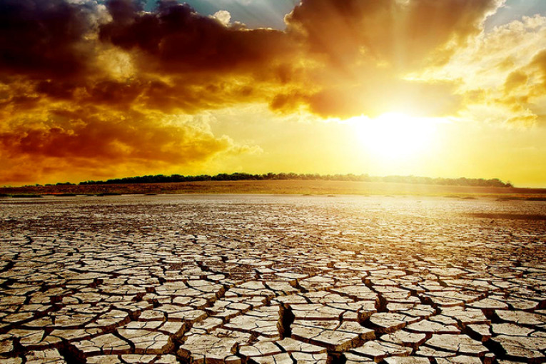 وزارة البيئة: تونس تسجل سنة جافة كل ثلاثة أعوام